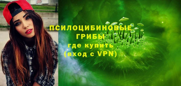 гашик Абинск
