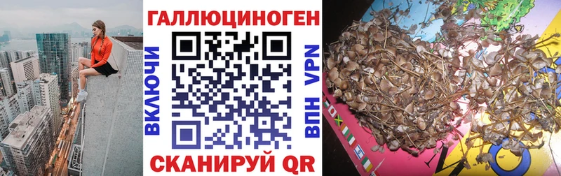 Псилоцибиновые грибы мицелий  Дмитриев 