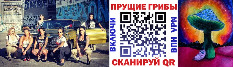 Псилоцибиновые грибы мицелий Дмитриев
